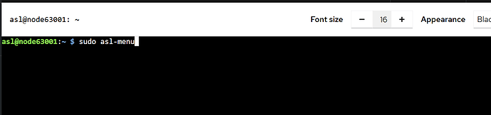 Starting asl-menu from Cockpit Terminal Cockpit Terminal CLI